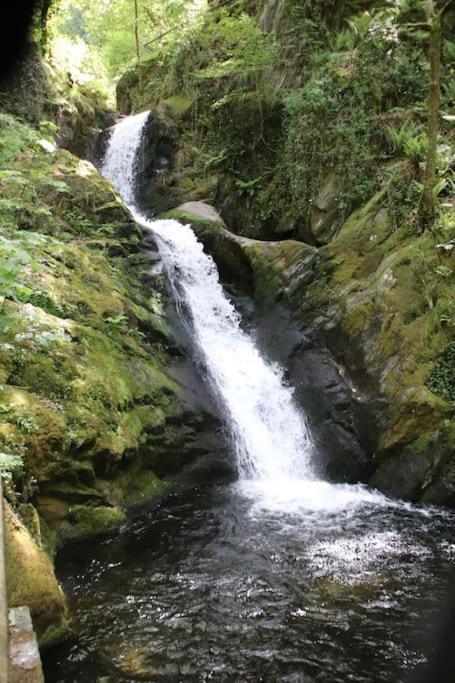 Garn Lodge Ньютаун Экстерьер фото